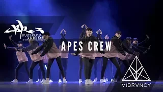 Apes Crew | Body Rock Junior 2017 [@VIBRVNCY Front Row 4K] #BRJR2017