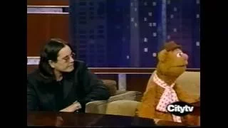 OZZY & FOZZIE BEAR GOOF AROUND