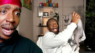 my brothers cats caught me (REACTION)