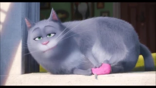 The Secret life of pets: best of chloe