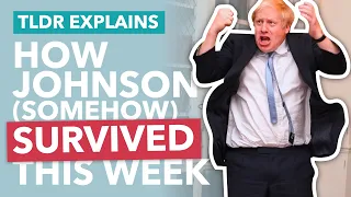 How Johnson (Somehow) Survived: Vote of No Confidence Explained - TLDR News
