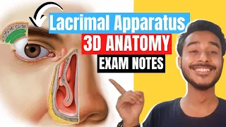 lacrimal apparatus anatomy 3d | anatomy of lacrimal apparatus | lacrimal gland anatomy