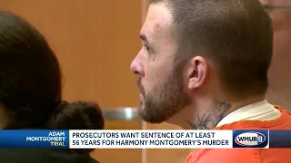 Prosecutors asking for decades in prison for Adam Montgomery
