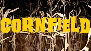 The Hound in the Cornfield and Its Hideous Heart - Urban Legend