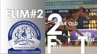 2020 Breeders Crown Elim#2 - Lady Chaos - 2FT