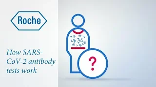 How do antibody tests work?