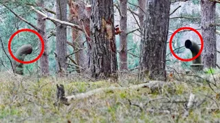 Двое молодых людей нашли в лесу две трубы и не могли поверить, что под ними, это напугало весь мир!