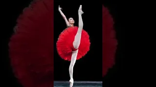 Supple as water, strong as tensile steel. The juxtaposition of ballerina Zakharova.