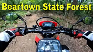 Honda CRF250L Exploring Beartown State Forest