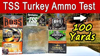 Best TSS Turkey Ammo at 100 Yards | 7 Brands Tested