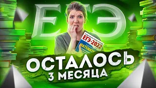 3 месяца до ЕГЭ по математике | Быстрая подготовка к ЕГЭ | Лайфхаки