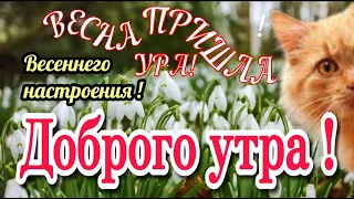 🌷🌞💗Наидобрейшего утра прекрасного дня💗🌷Весеннего настроения🌞Доброго здоровья🎵 музыкальное пожелание🎵