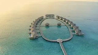 It Started With A Dream | Velaa Private Island Maldives