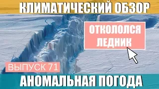 В Антарктиде откололся ледник.  Аномальная погода. Климатические изменения. Выпуск 71