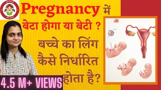 गर्भ में लड़का होगा या लड़की | गर्भ में बेटा या बेटी कैसे पता कर सकते है