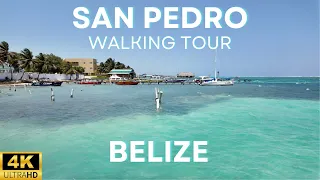 San Pedro Belize Walking Tour #travelvideo #beach #travel #vlog #vacation #explore #live