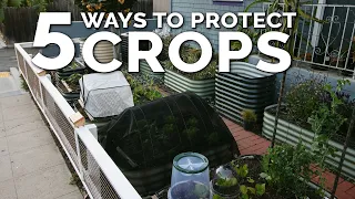 5 Simple Season Extension and Plant Protection Techniques