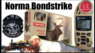 Ballistics gel hunting vs match bullets Episode 34 Norma Bondstrike