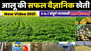 Aalu ki kheti | आलू की वैज्ञानिक खेती | Potato farming | संपूर्ण A to Z जानकारी |Advance Agriculture