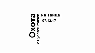 Охота на зайца 07 12 17