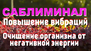 САБЛИМИНАЛ - Повышение вибраций. Очищение организма от негативной энергии.