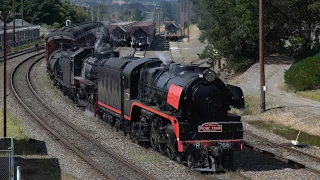 「4K60fps」R766, 5917 & 4903 at Moss Vale - Picnic Train Canberra Transfer