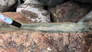 Intrusive Carbonatite, Kimberlite, and Pyroxenite at Ås Jetty, N-Alnö