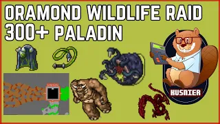 Oramond Wildlife Raid | 300+ Paladin | Tibia