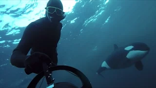 GoPro Awards: Freediving with Wild Orcas