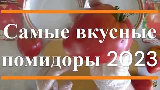 Самые вкусные помидоры сезона 2023 Ч. 1.Красные и розовоплодные томаты. От чего зависит вкус.