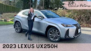 2023 Lexus UX250h: Finally a Touchscreen!