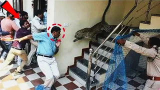 10 Minutes of Unbelievable Moments Caught on Camera