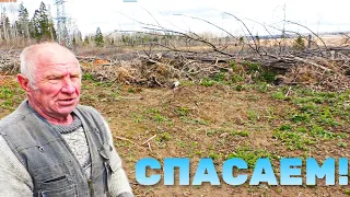 ТРАКТОР ВСЁ УНИЧТОЖИЛ! ДЕД СКАЗАЛ -СПАСАЕМ! КОП НА РАЗРАБОТКАХ.