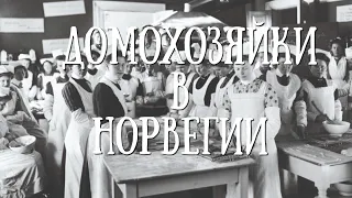 Почему в Норвегии не любят домохозяек?