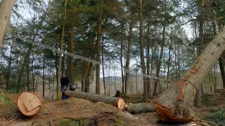 PORTABLE WINCH - 600' Rope with Pulleys. Winching an Entire Big Tree Stuck in an Other Huge Hemlock.