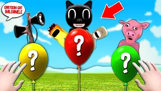 CARTOON CAT si LUCKY BALON la ora 1 DIMINEATA!