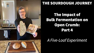 The Impact of Bulk Fermentation on Open Crumb - Part 4: Findings