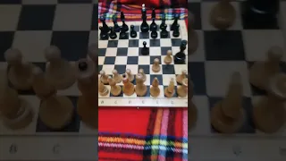 Самый быстрый мат. #шахматы #лайфхак #chess24 #shorts