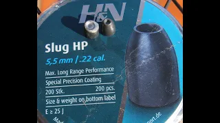 H&N Slug HP 21 grain accuracy and expansion test