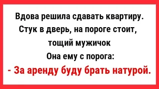 За аренду буду брать натурой. Сборник Смешных Жизненных Анекдотов для Супер Настроения! .