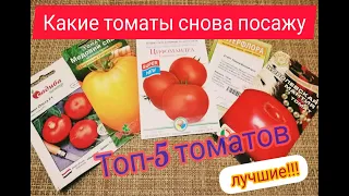 👍🍅СНОВА ПОСАЖУ ЭТИ ТОМАТЫ. ТОП-5 ЛУЧШИХ ТОМАТОВ СЕЗОНА