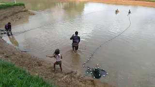 NESSA LAGOA TEM MAIS PEIXE DO QUE ÁGUA.