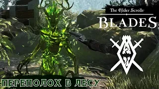 The Elder Scrolls: Blades - Переполох в лесу. Урок от Хенриха (ios) #2