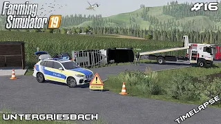 Rescuing flipped VAN and MOWER | Lawn Care on Untergriesbach | Farming Simulator 19 | Episode 16