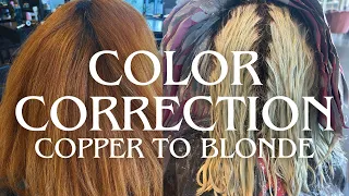 Copper to Blonde in One Day: Color Correction & Toner Tutorial, Hair Transformation, Platinum Card