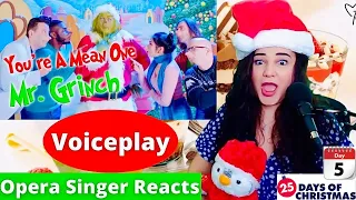 YOU'RE A MEAN ONE MR. GRINCH | VoicePlay Feat. Adriana Arellano | Opera Singer Reacts ✨