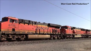 [HD] UP and BNSF Trains in the Central Valley with NS and GECX Power (11/19/22)