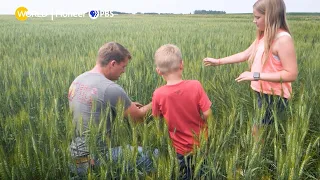 Corn and Soy, Protected Crops | Minnesota's Alt-Meat Revolution | Clip | Local, USA