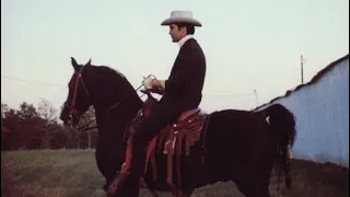 Elvis Presley - เรื่องราวของ Circle G Ranch