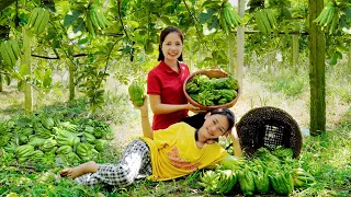 Harvesting Buddha's Hand Fruit, Chicken Eggs, Potato, Cantaloupe Go To Market Sell